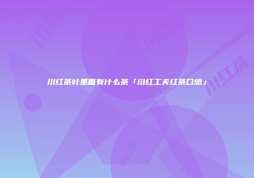 川红茶叶里面有什么茶「川红工夫红茶口感」