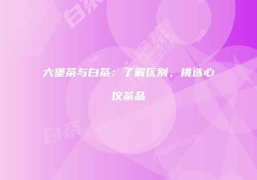 六堡茶与白茶：了解区别，挑选心仪茶品
