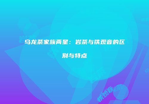 乌龙茶家族两星：岩茶与铁观音的区别与特点