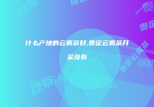 什么产地的云雾茶好,贵定云雾茶开采没有