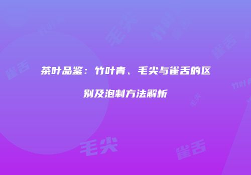 茶叶品鉴：竹叶青、毛尖与雀舌的区别及泡制方法解析