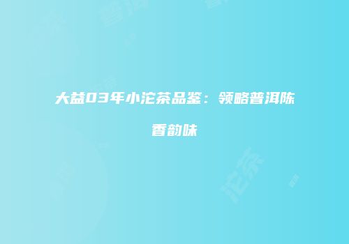 大益03年小沱茶品鉴：领略普洱陈香韵味