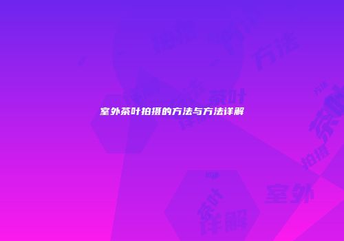 室外茶叶拍摄的方法与方法详解