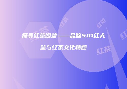 探寻红茶翘楚——品鉴501红大益与红茶文化精髓