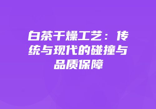 白茶干燥工艺：传统与现代的碰撞与品质保障
