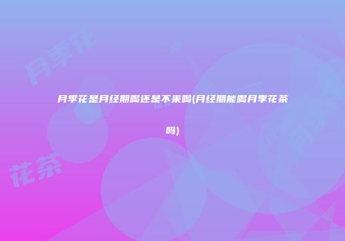 月季花是月经期喝还是不来喝(月经期能喝月季花茶吗)