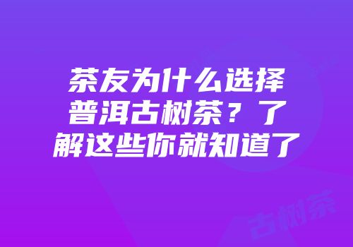 茶友为什么选择普洱古树茶？了解这些你就知道了