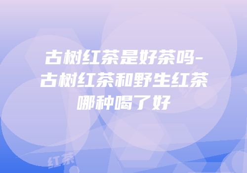 古树红茶是好茶吗-古树红茶和野生红茶哪种喝了好