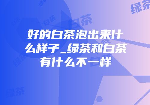 好的白茶泡出来什么样子_绿茶和白茶有什么不一样
