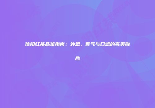 信阳红茶品鉴指南：外观、香气与口感的完美融合