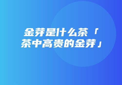 金芽是什么茶「茶中高贵的金芽」
