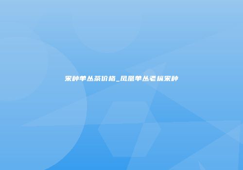 宋种单丛茶价格_凤凰单丛老枞宋种