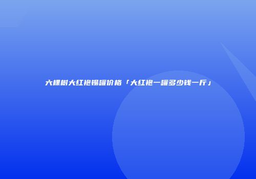 六棵树大红袍锡罐价格「大红袍一罐多少钱一斤」