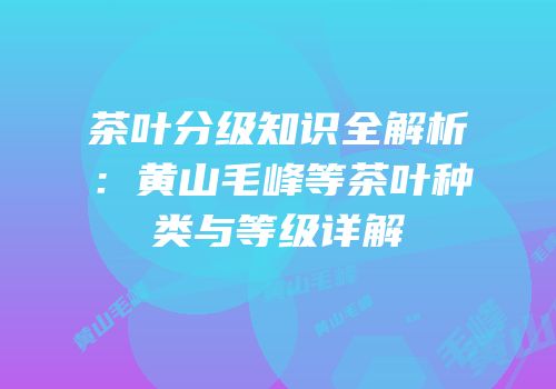 茶叶分级知识全解析：黄山毛峰等茶叶种类与等级详解