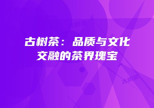 古树茶：品质与文化交融的茶界瑰宝