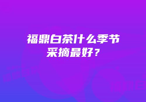 福鼎白茶什么季节采摘最好？