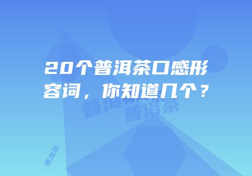 20个普洱茶口感形容词，你知道几个？