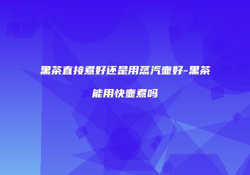 黑茶直接煮好还是用蒸汽壶好-黑茶能用快壶煮吗