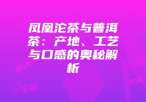 凤凰沱茶与普洱茶：产地、工艺与口感的奥秘解析