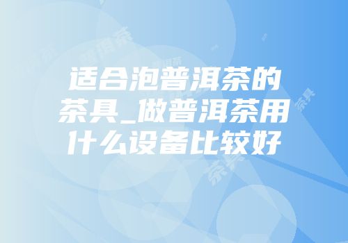 适合泡普洱茶的茶具_做普洱茶用什么设备比较好
