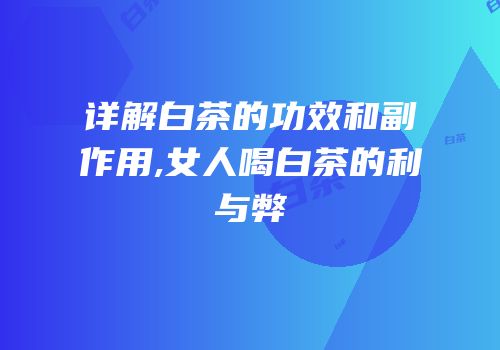 详解白茶的功效和副作用,女人喝白茶的利与弊