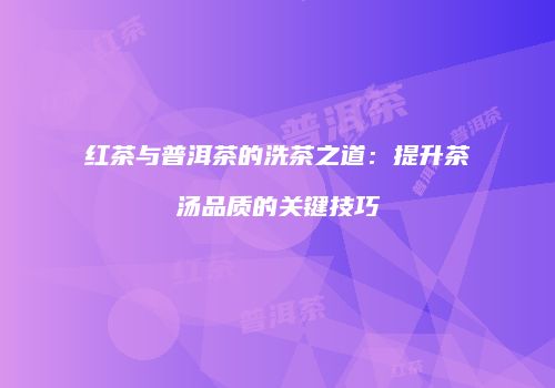 红茶与普洱茶的洗茶之道：提升茶汤品质的关键技巧