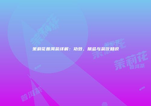 茉莉花普洱茶详解：功效、禁忌与茶饮知识