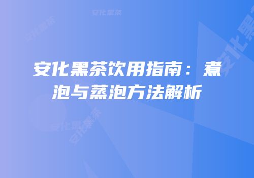 安化黑茶饮用指南：煮泡与蒸泡方法解析