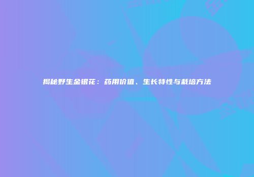 揭秘野生金银花：药用价值、生长特性与栽培方法