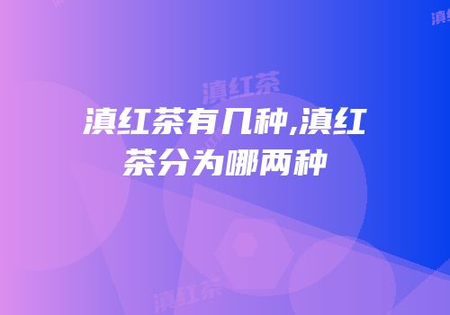 滇红茶有几种,滇红茶分为哪两种
