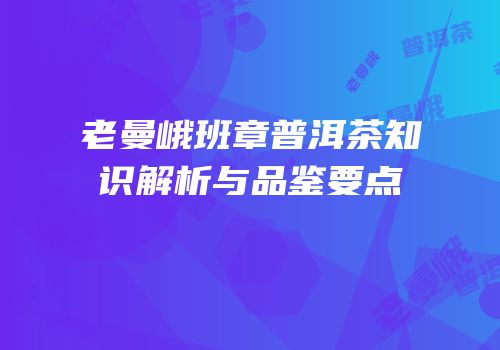 老曼峨班章普洱茶知识解析与品鉴要点