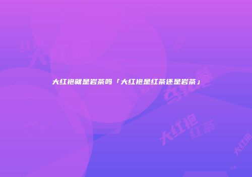 大红袍就是岩茶吗「大红袍是红茶还是岩茶」