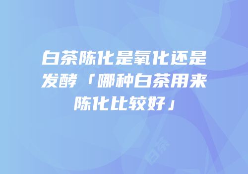 白茶陈化是氧化还是发酵「哪种白茶用来陈化比较好」