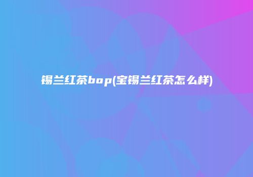 锡兰红茶bop(宝锡兰红茶怎么样)