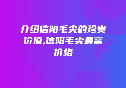 介绍信阳毛尖的珍贵价值,信阳毛尖最高价格