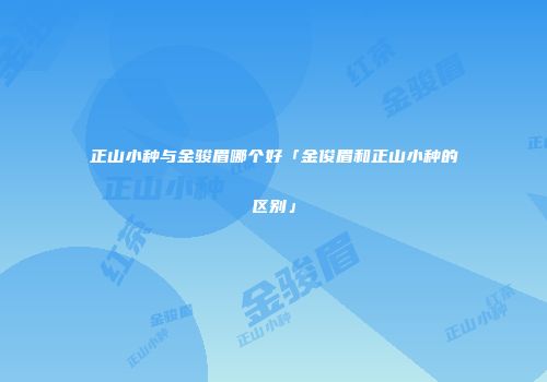 正山小种与金骏眉哪个好「金俊眉和正山小种的区别」