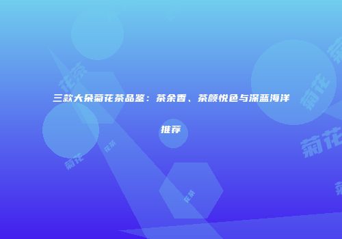 三款大朵菊花茶品鉴：茶余香、茶颜悦色与深蓝海洋推荐