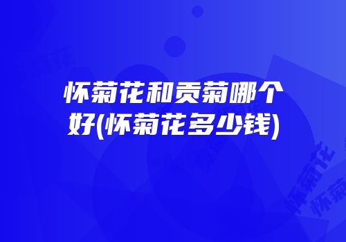 怀菊花和贡菊哪个好(怀菊花多少钱)
