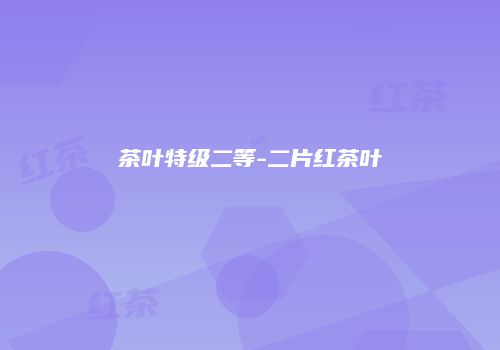 茶叶特级二等-二片红茶叶