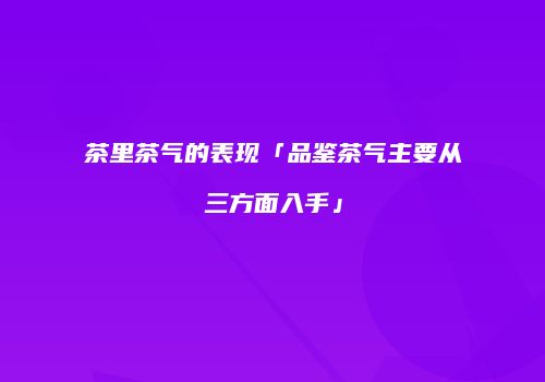 茶里茶气的表现「品鉴茶气主要从三方面入手」