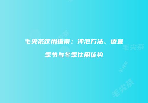 毛尖茶饮用指南：冲泡方法、适宜季节与冬季饮用优势