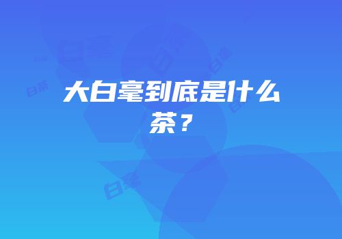 大白毫到底是什么茶？