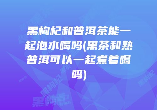 黑枸杞和普洱茶能一起泡水喝吗(黑茶和熟普洱可以一起煮着喝吗)