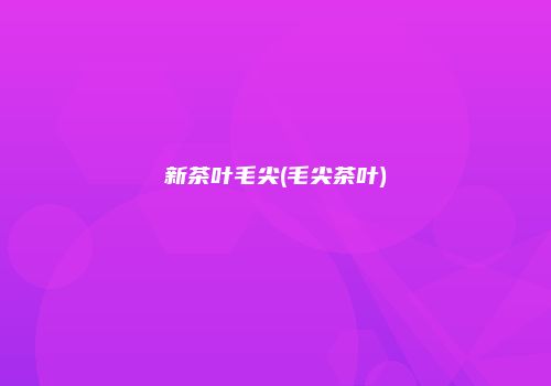 新茶叶毛尖(毛尖茶叶)