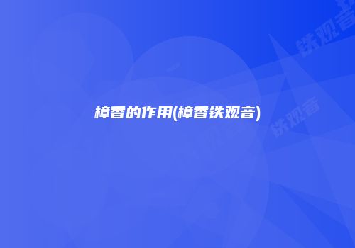 樟香的作用(樟香铁观音)