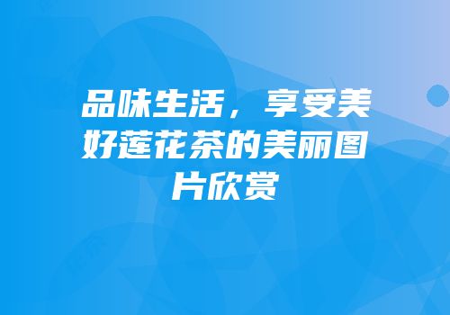 品味生活，享受美好莲花茶的美丽图片欣赏