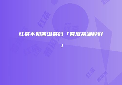 红茶不如普洱茶吗「普洱茶哪种好」