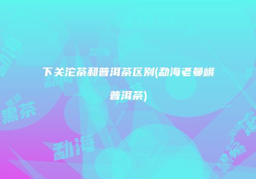 下关沱茶和普洱茶区别(勐海老曼峨普洱茶)