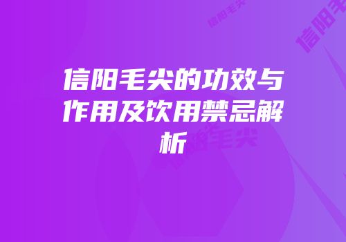 信阳毛尖的功效与作用及饮用禁忌解析