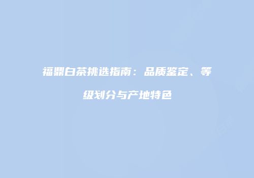 福鼎白茶挑选指南：品质鉴定、等级划分与产地特色
